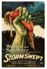 Stormswept (1923) Thumbnail