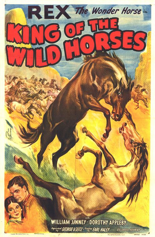 The King of the Wild Horses Movie Poster