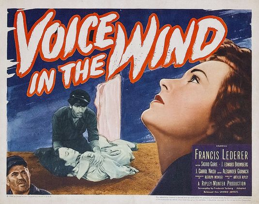 A Voice in the Wind Movie Poster