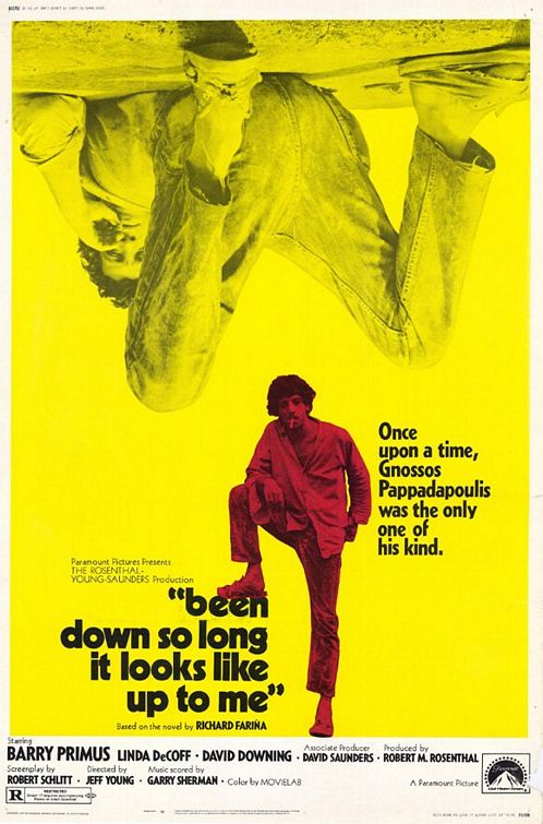Been Down So Long It Looks Like Up to Me Movie Poster