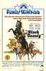 Black Beauty (1971) Thumbnail