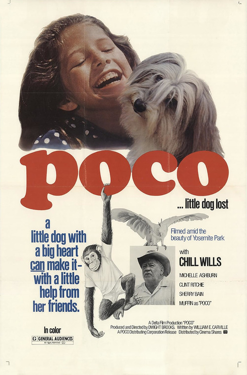 Poco... Little Dog Lost Movie Poster