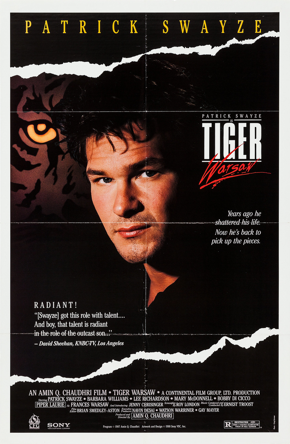 Extra Large Movie Poster Image for Tiger Warsaw 