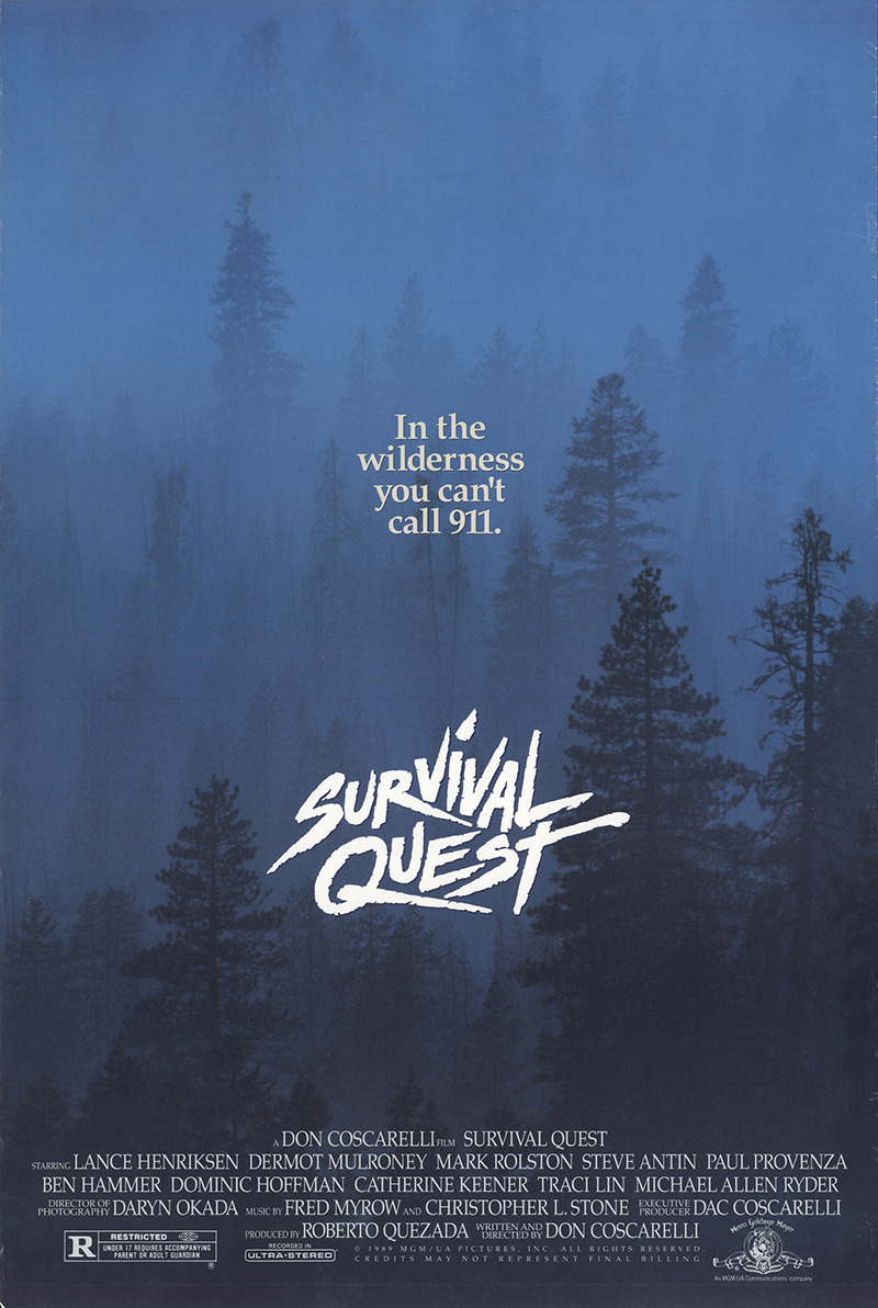 Extra Large Movie Poster Image for Survival Quest 