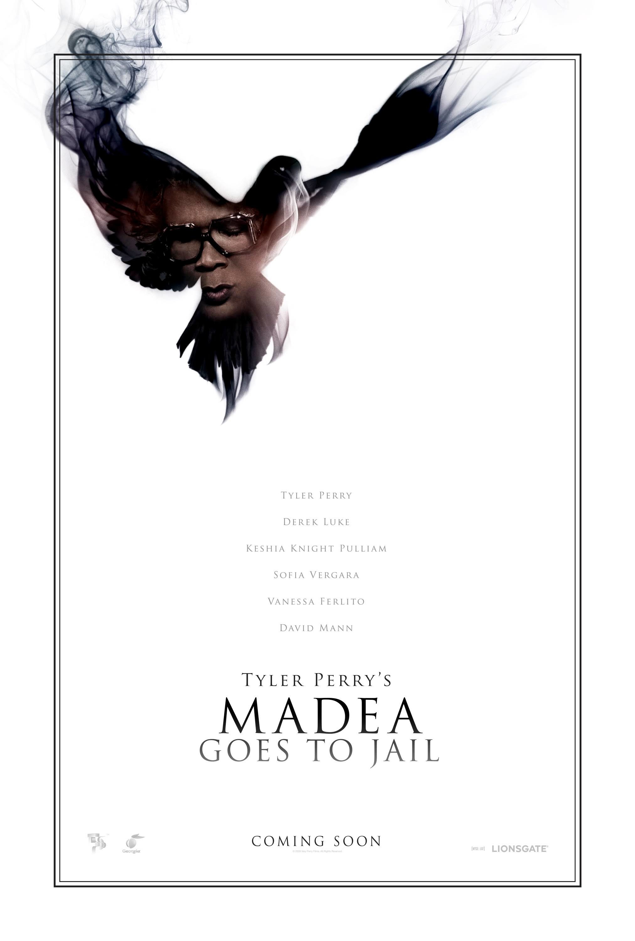 Mega Sized Movie Poster Image for Madea Goes to Jail (#1 of 6)