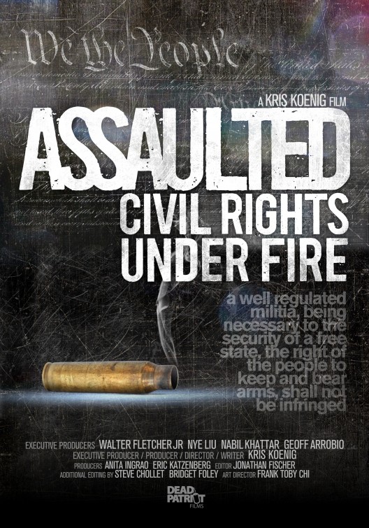 Assaulted: Civil Rights Under Fire Movie Poster