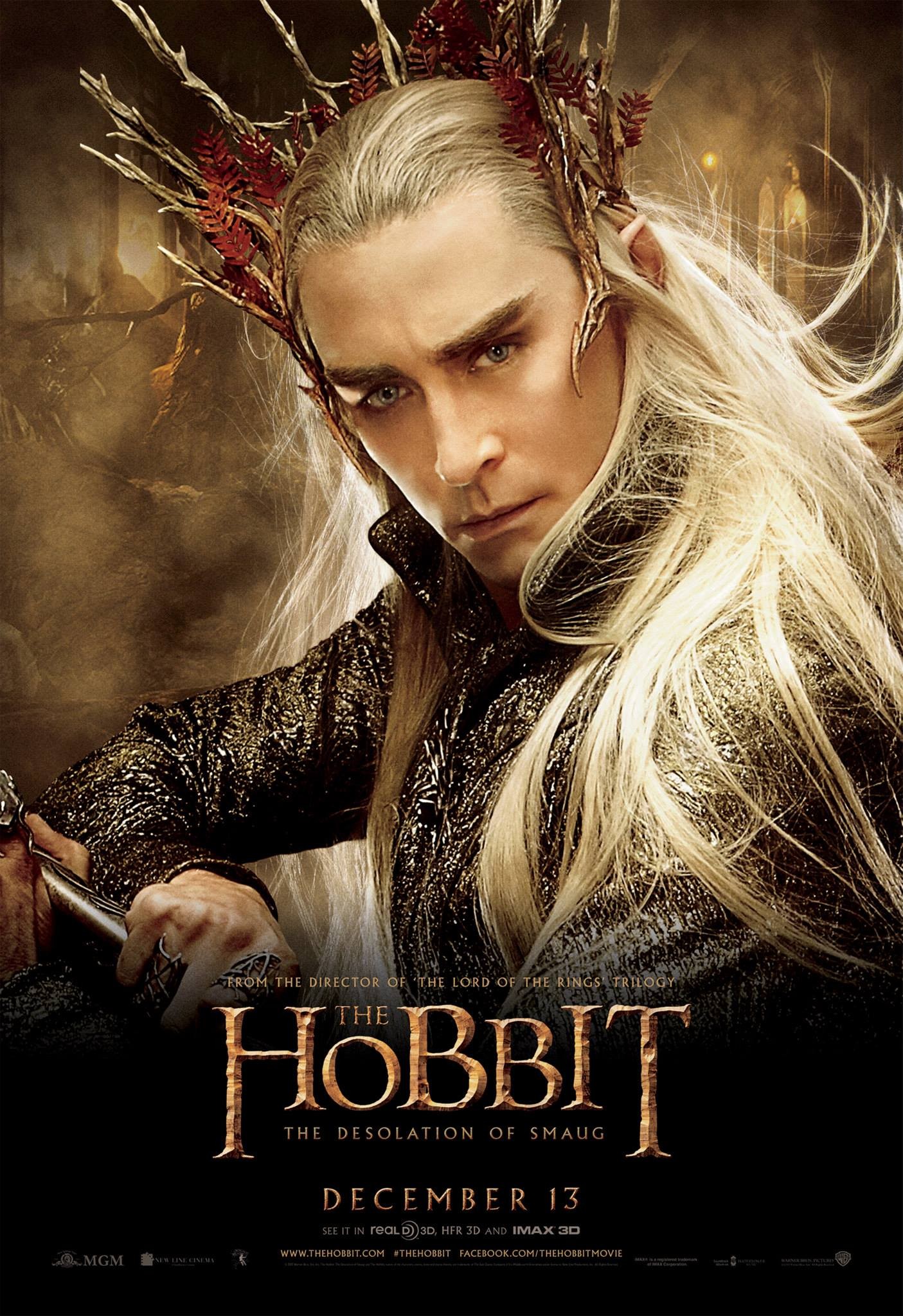 Mega Sized Movie Poster Image for The Hobbit: The Desolation of Smaug (#14 of 33)