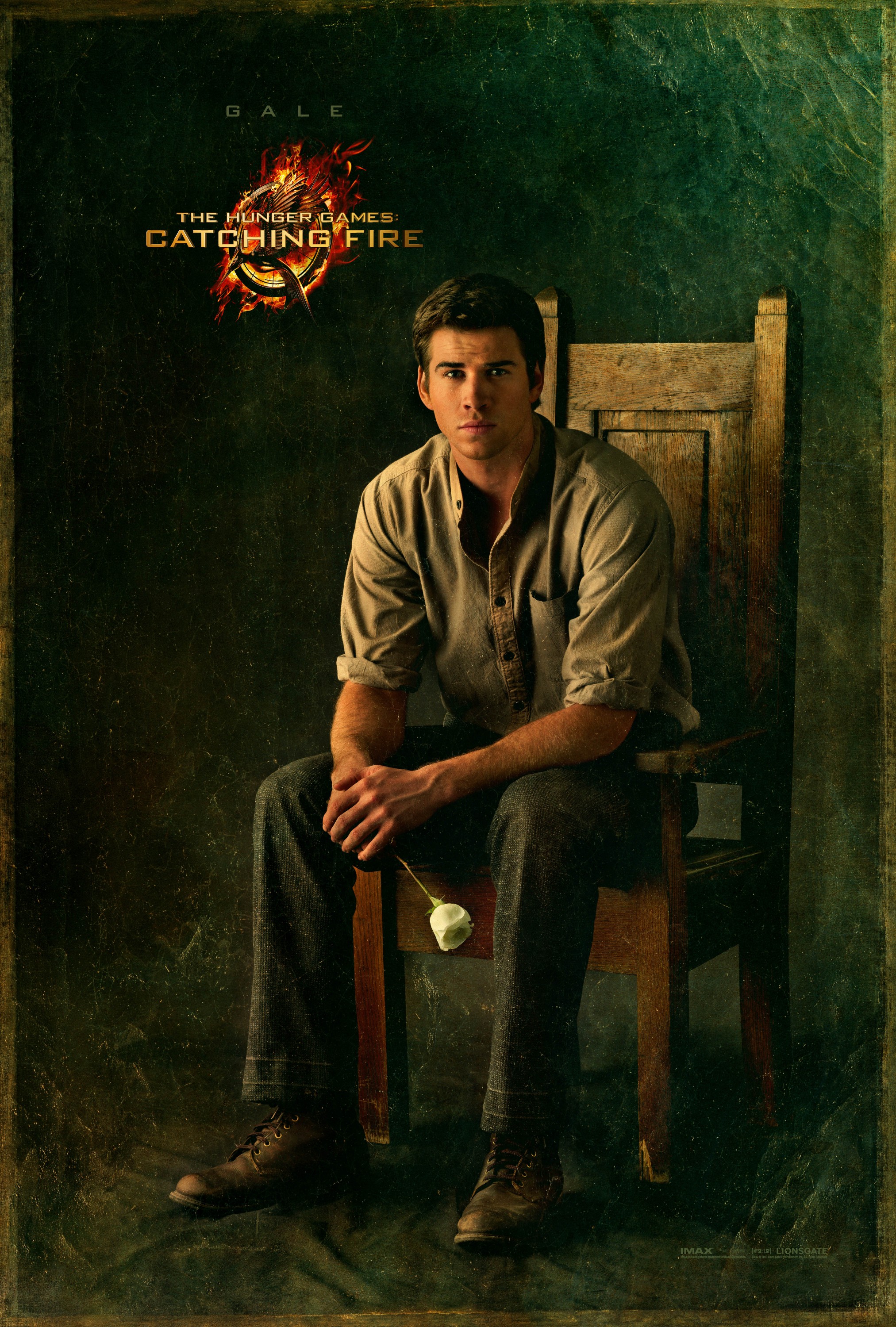 Mega Sized Movie Poster Image for The Hunger Games: Catching Fire (#12 of 33)