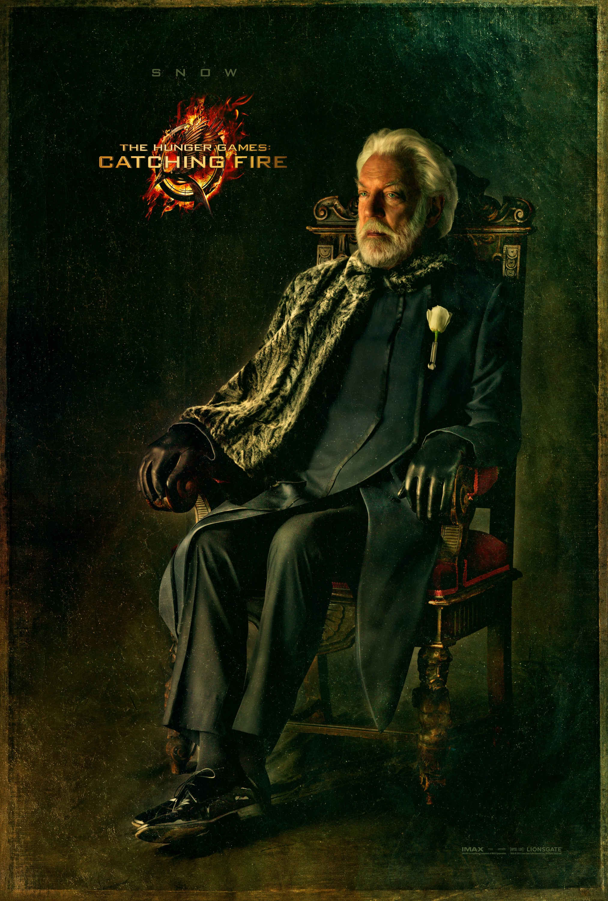 Mega Sized Movie Poster Image for The Hunger Games: Catching Fire (#14 of 33)