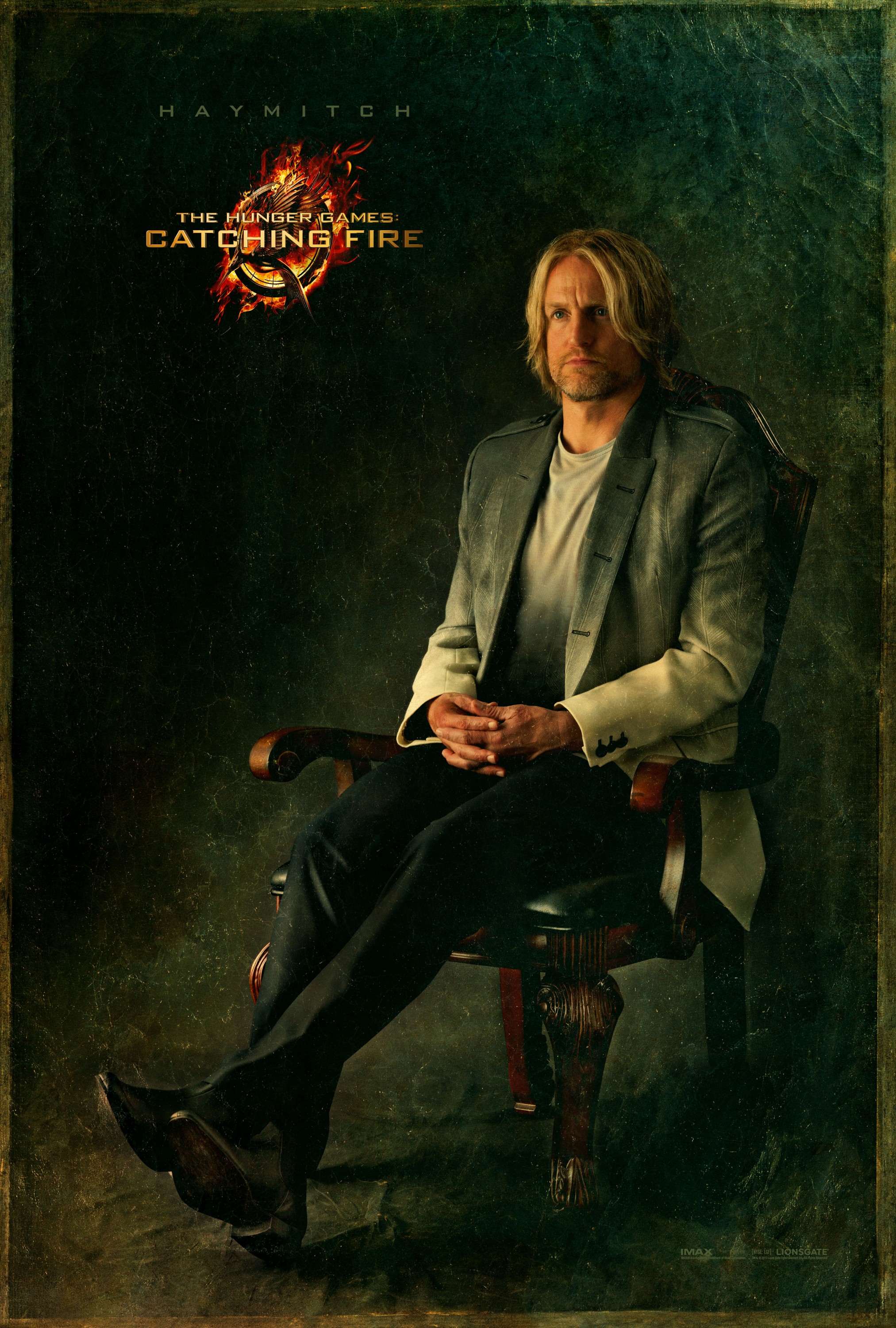 Mega Sized Movie Poster Image for The Hunger Games: Catching Fire (#6 of 33)