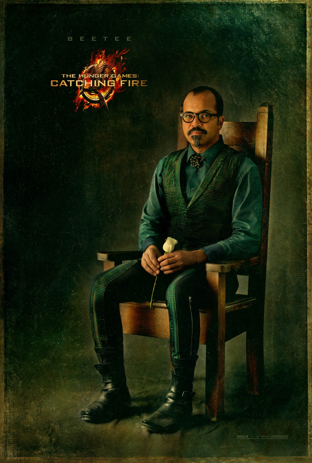 Extra Large Movie Poster Image for The Hunger Games: Catching Fire (#9 of 33)