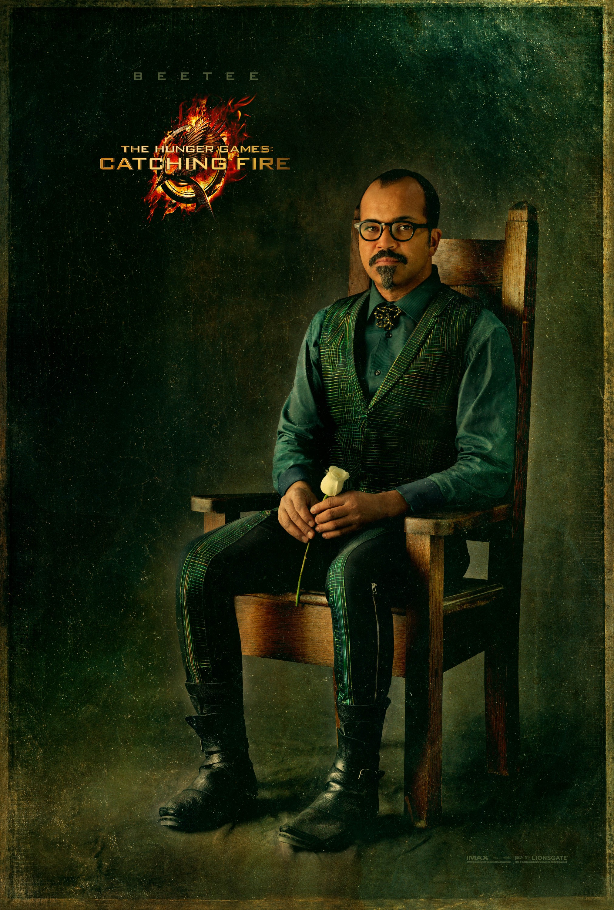 Mega Sized Movie Poster Image for The Hunger Games: Catching Fire (#9 of 33)