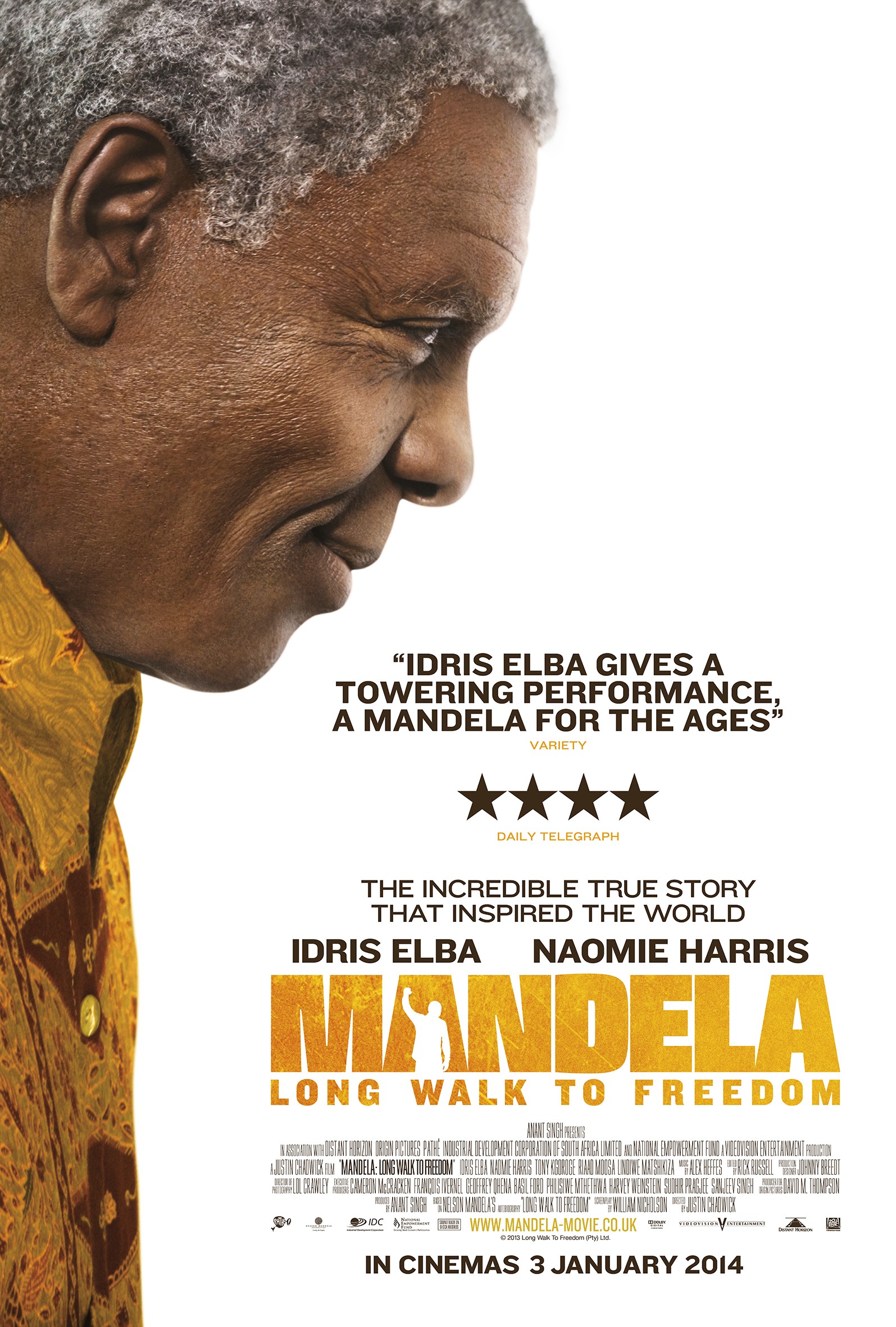 Mega Sized Movie Poster Image for Mandela: Long Walk to Freedom (#6 of 8)