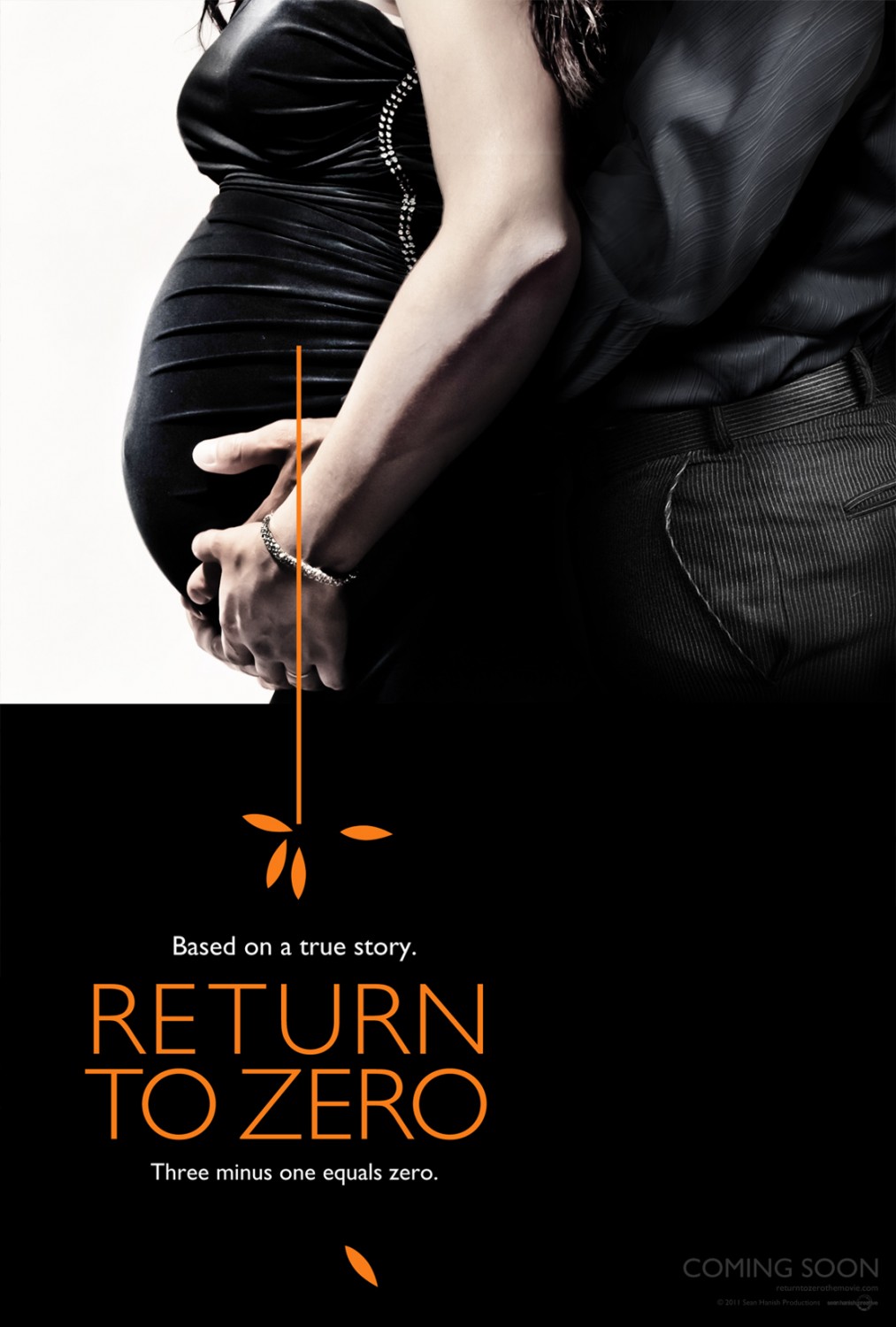 Extra Large Movie Poster Image for Return to Zero 