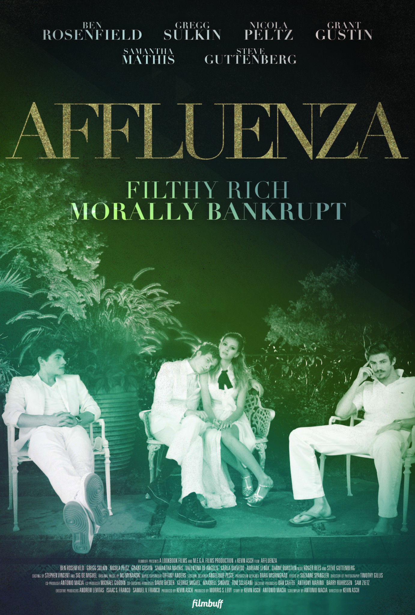 Mega Sized Movie Poster Image for Affluenza 
