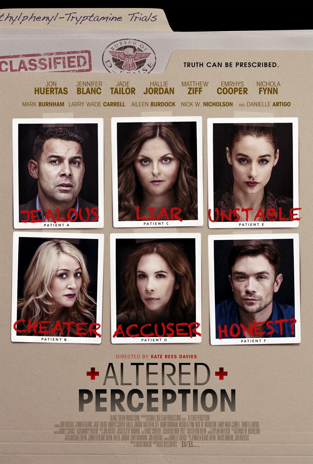 Extra Large Movie Poster Image for Altered Perception (#2 of 2)