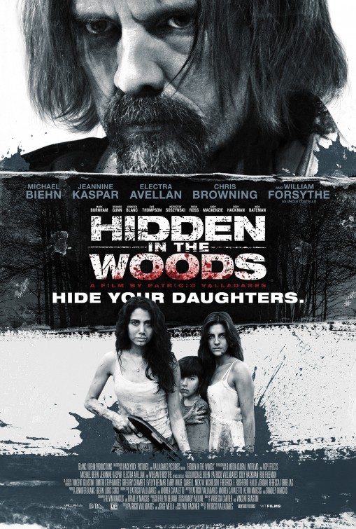 Hidden in the Woods Movie Poster