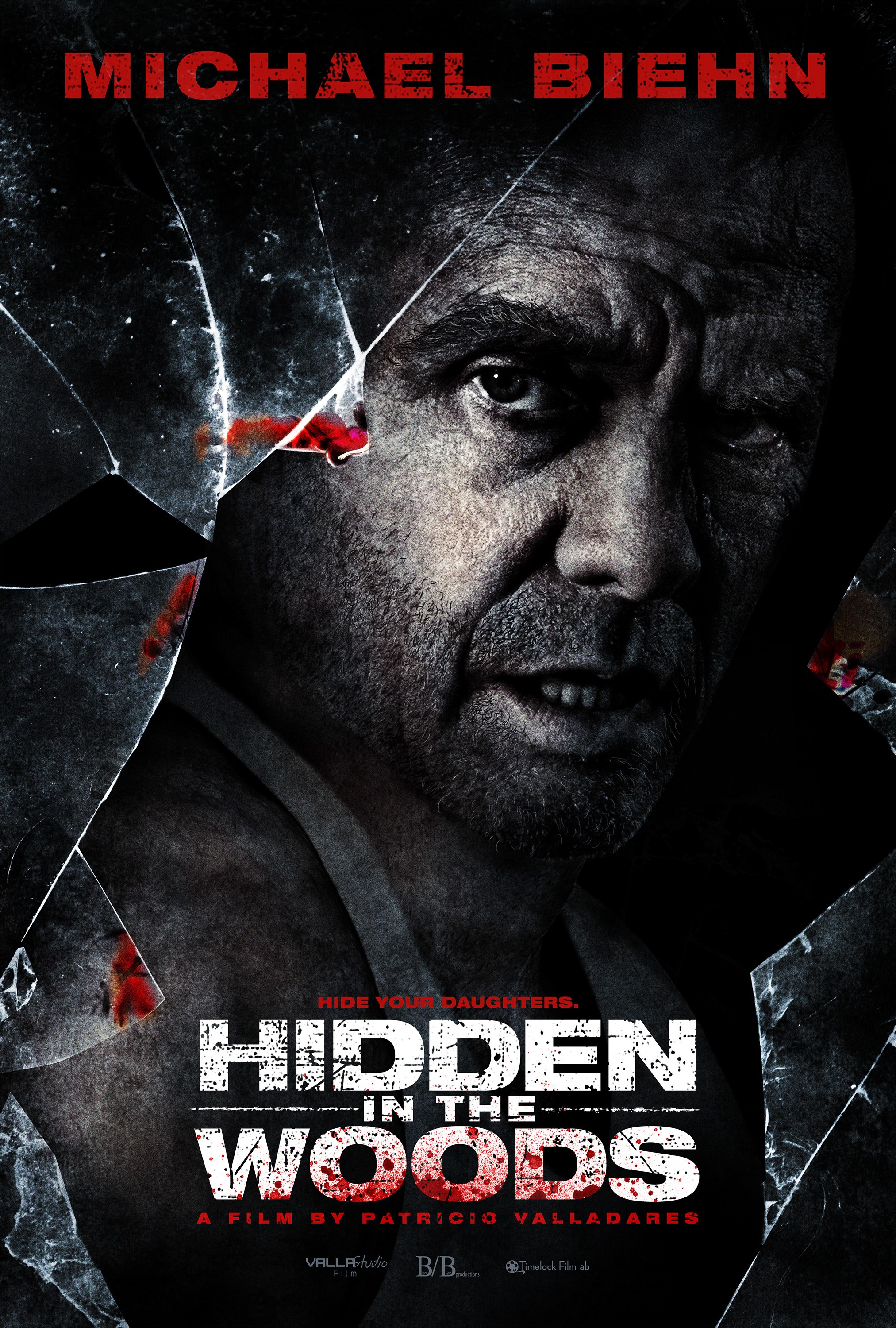 Mega Sized Movie Poster Image for Hidden in the Woods (#1 of 3)