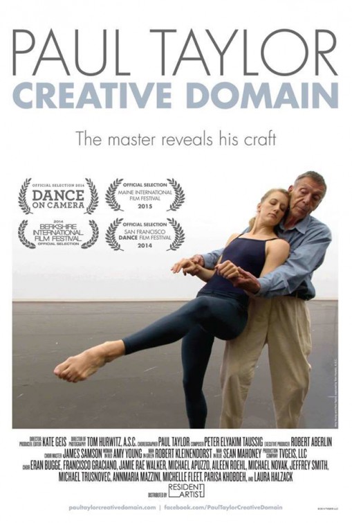 Paul Taylor Creative Domain Movie Poster