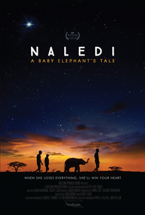 Naledi: A Baby Elephant's Tale Movie Poster