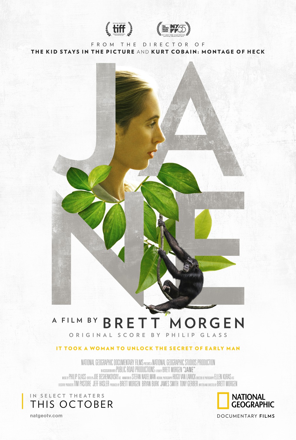 Extra Large Movie Poster Image for Jane 