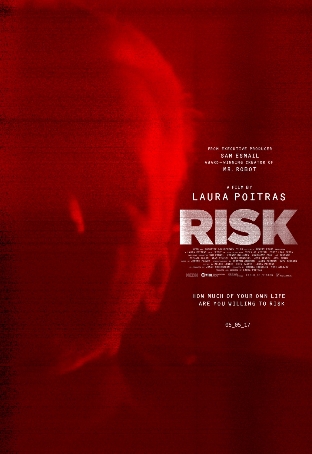 Extra Large Movie Poster Image for Risk 