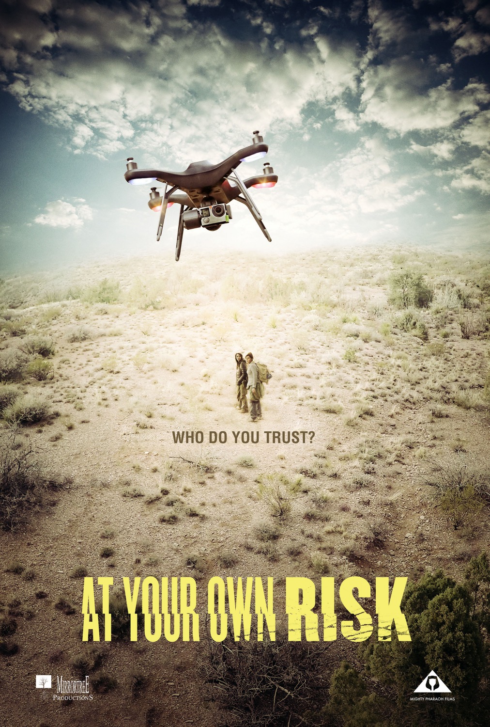 Extra Large Movie Poster Image for At Your Own Risk (#2 of 3)