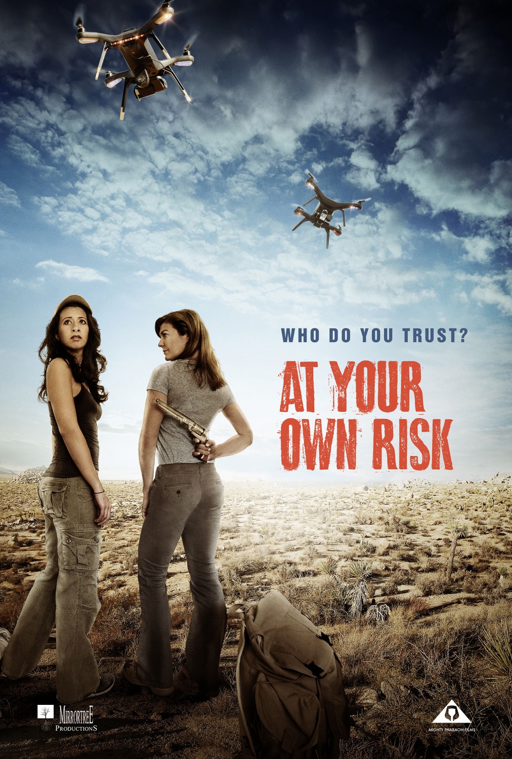 Extra Large Movie Poster Image for At Your Own Risk (#3 of 3)