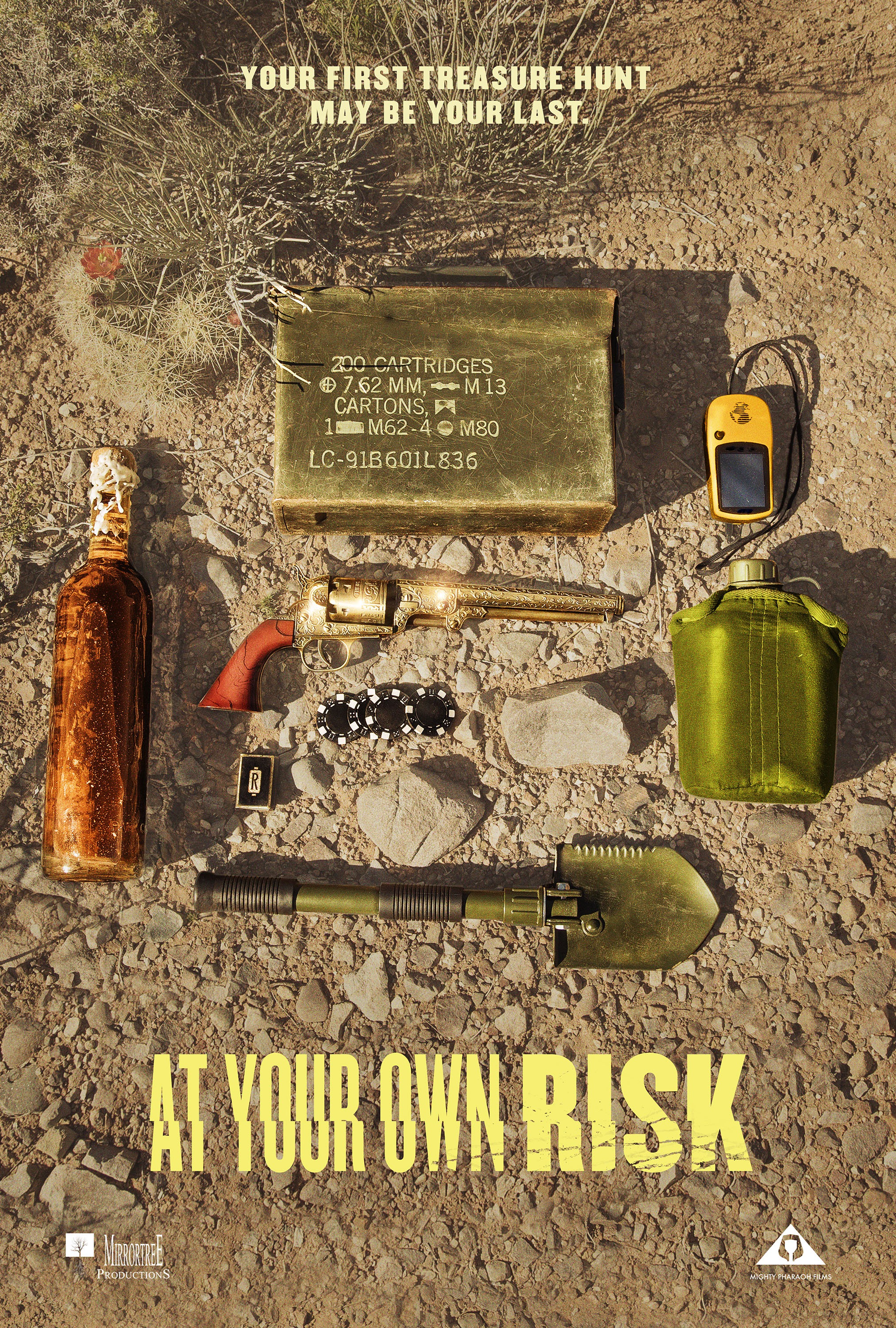 Mega Sized Movie Poster Image for At Your Own Risk (#1 of 3)