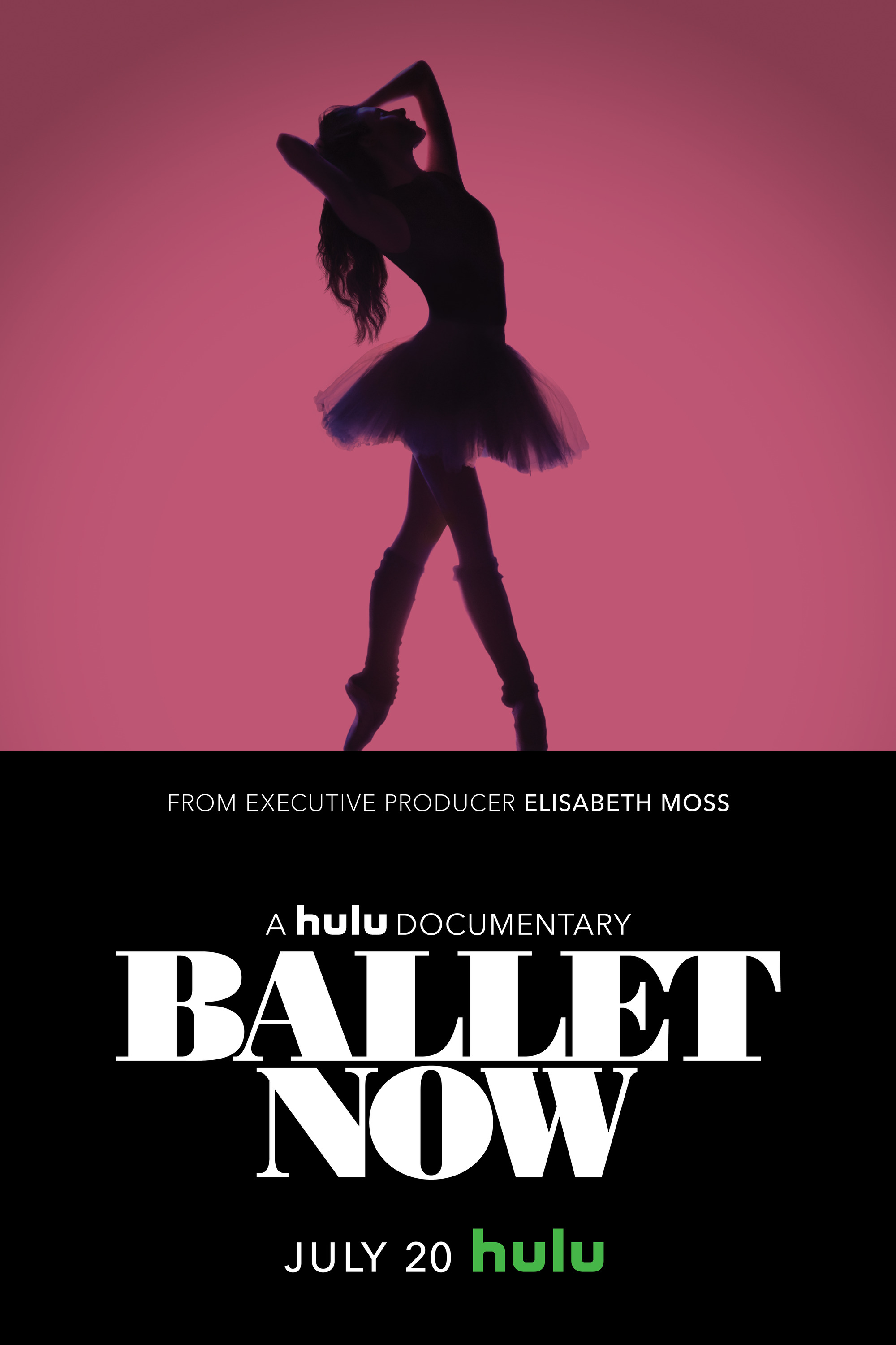 Mega Sized Movie Poster Image for Ballet Now 