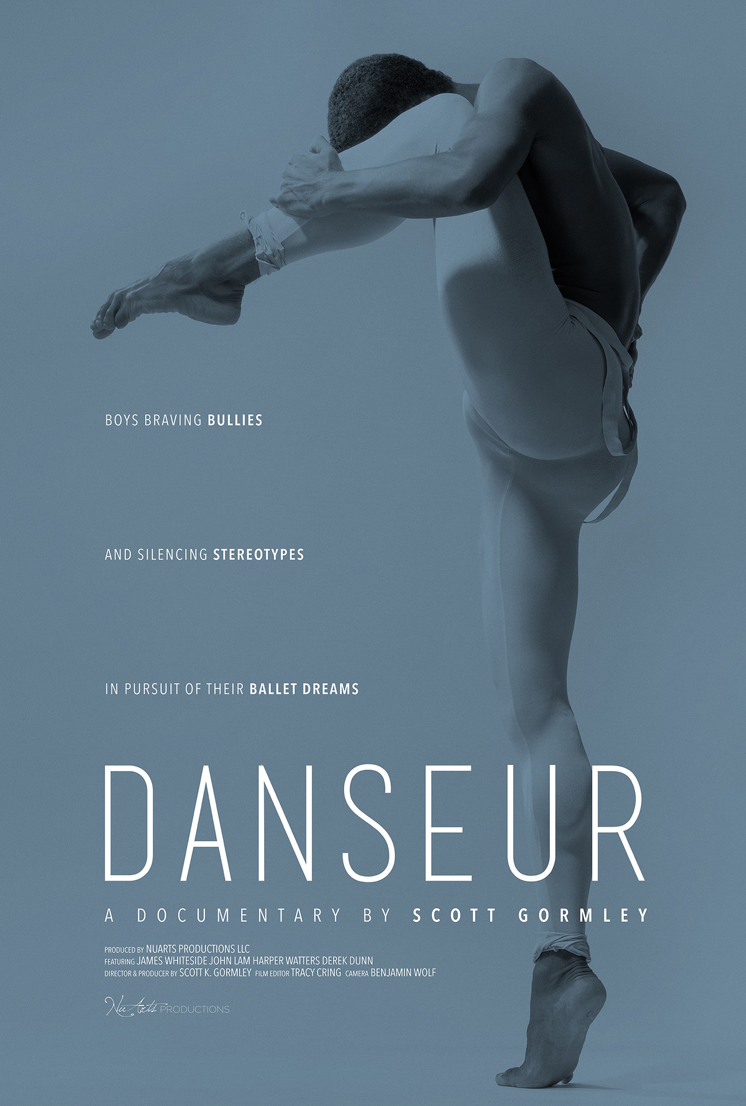 Mega Sized Movie Poster Image for Danseur 