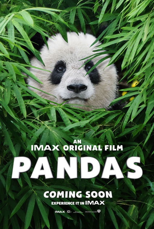 Pandas Movie Poster