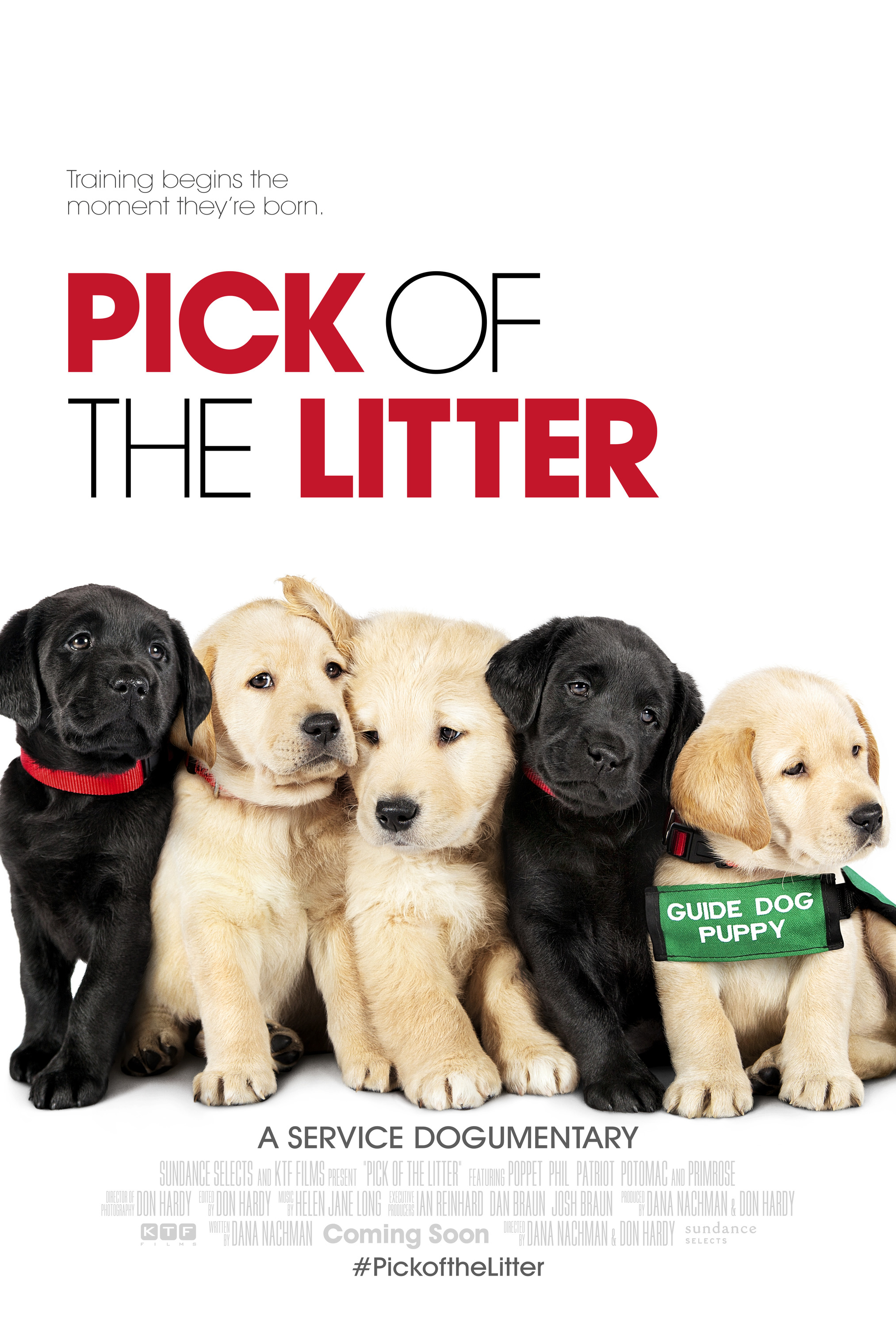 Mega Sized Movie Poster Image for Pick of the Litter (#2 of 7)