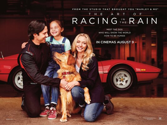 The Art of Racing in the Rain Movie Poster