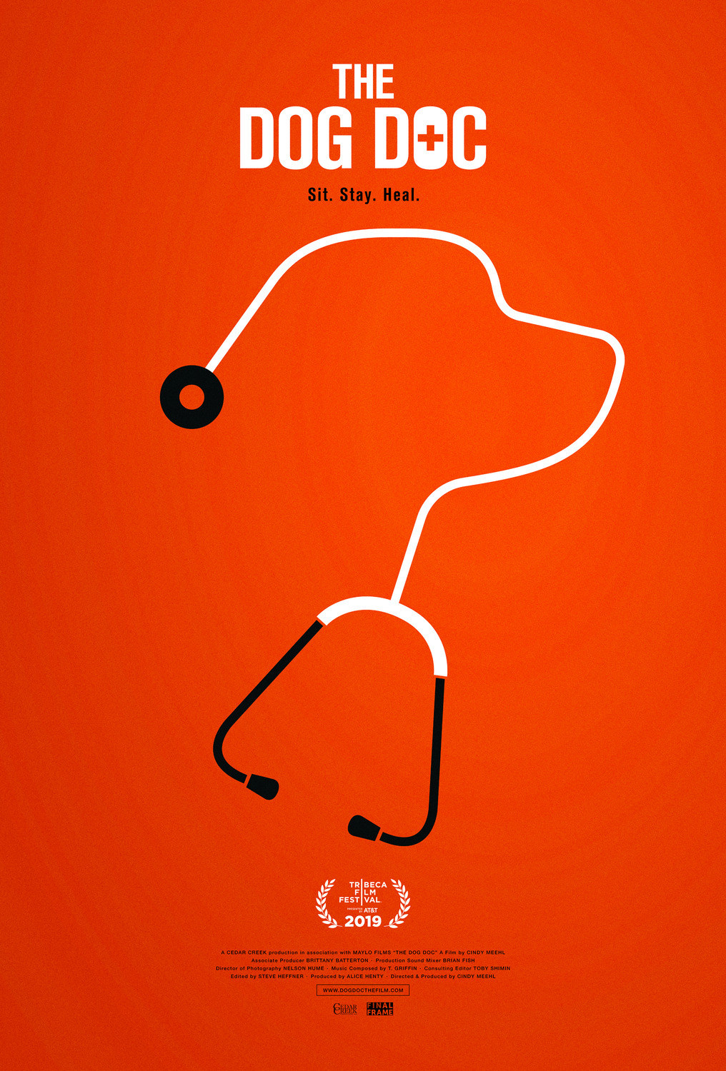 Extra Large Movie Poster Image for The Dog Doc 
