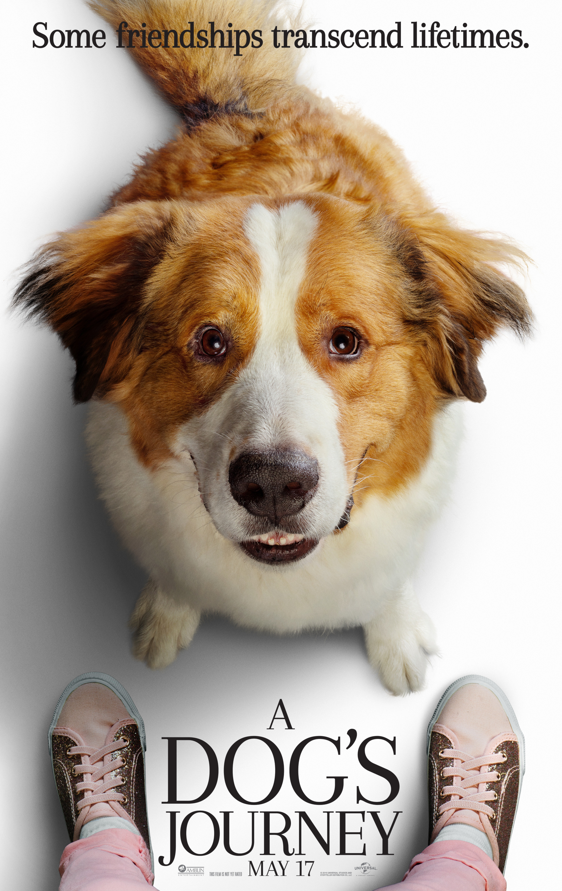 Mega Sized Movie Poster Image for A Dog's Journey (#1 of 11)