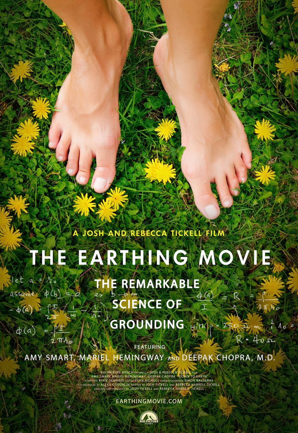 Extra Large Movie Poster Image for The Earthing Movie 