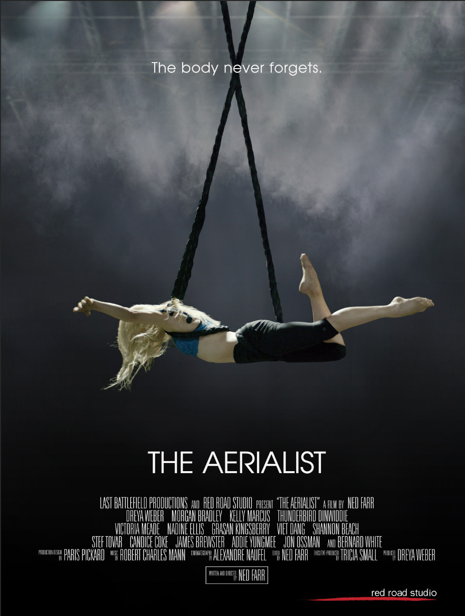 Extra Large Movie Poster Image for The Aerialist 