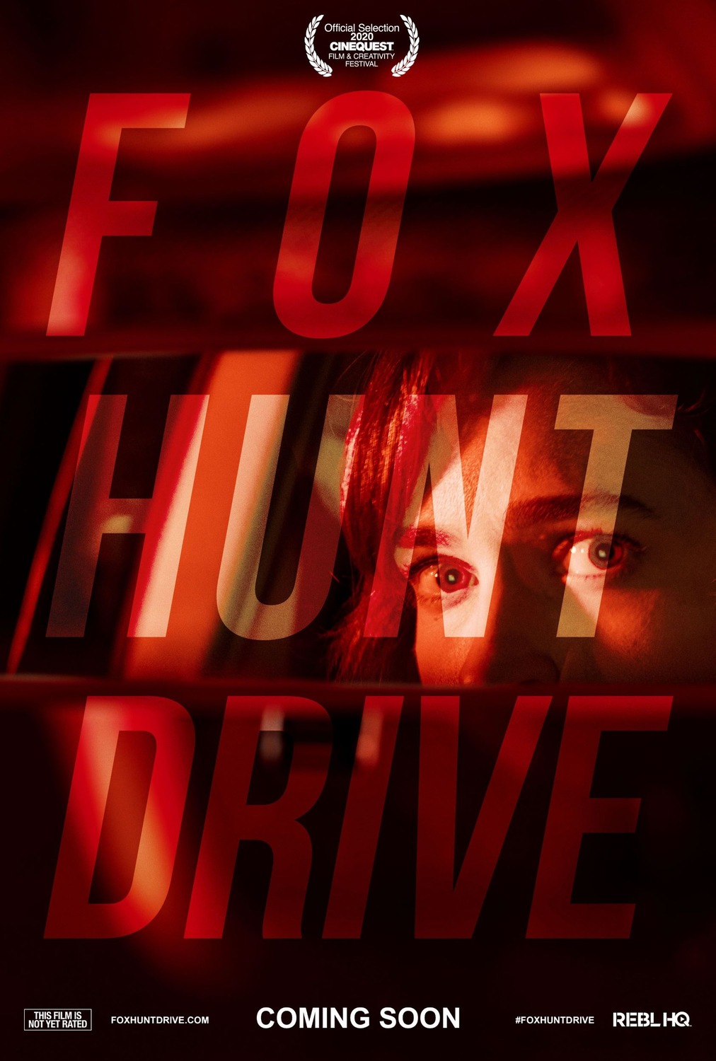 Extra Large Movie Poster Image for Fox Hunt Drive 