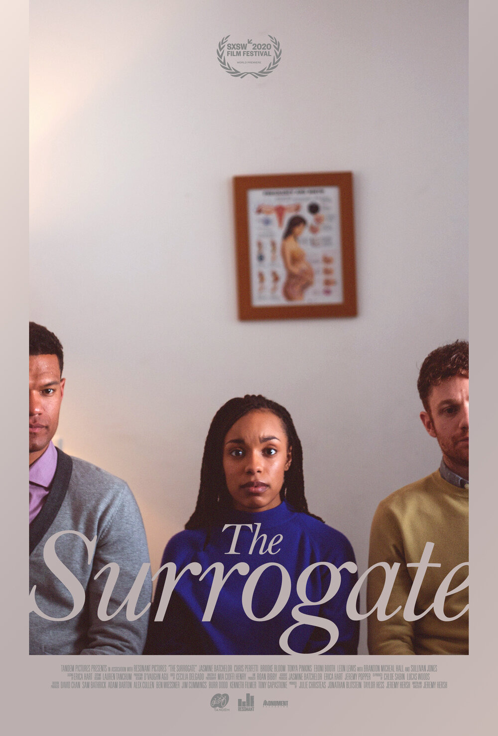 Extra Large Movie Poster Image for The Surrogate (#1 of 2)