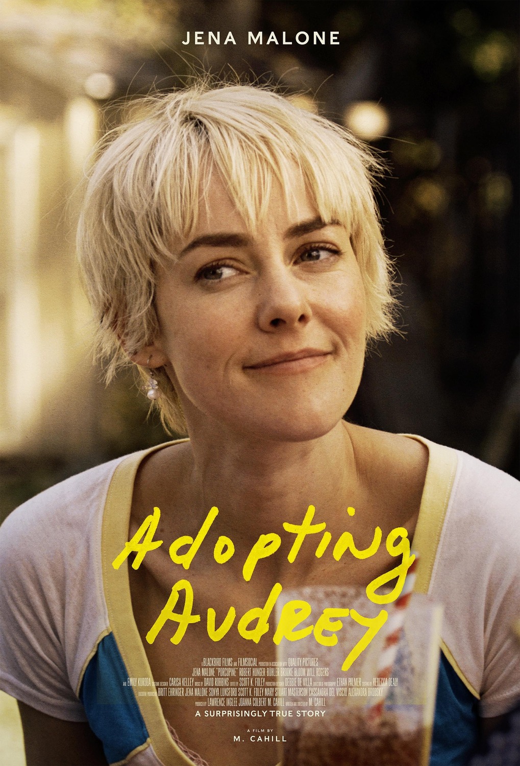 Extra Large Movie Poster Image for Adopting Audrey 