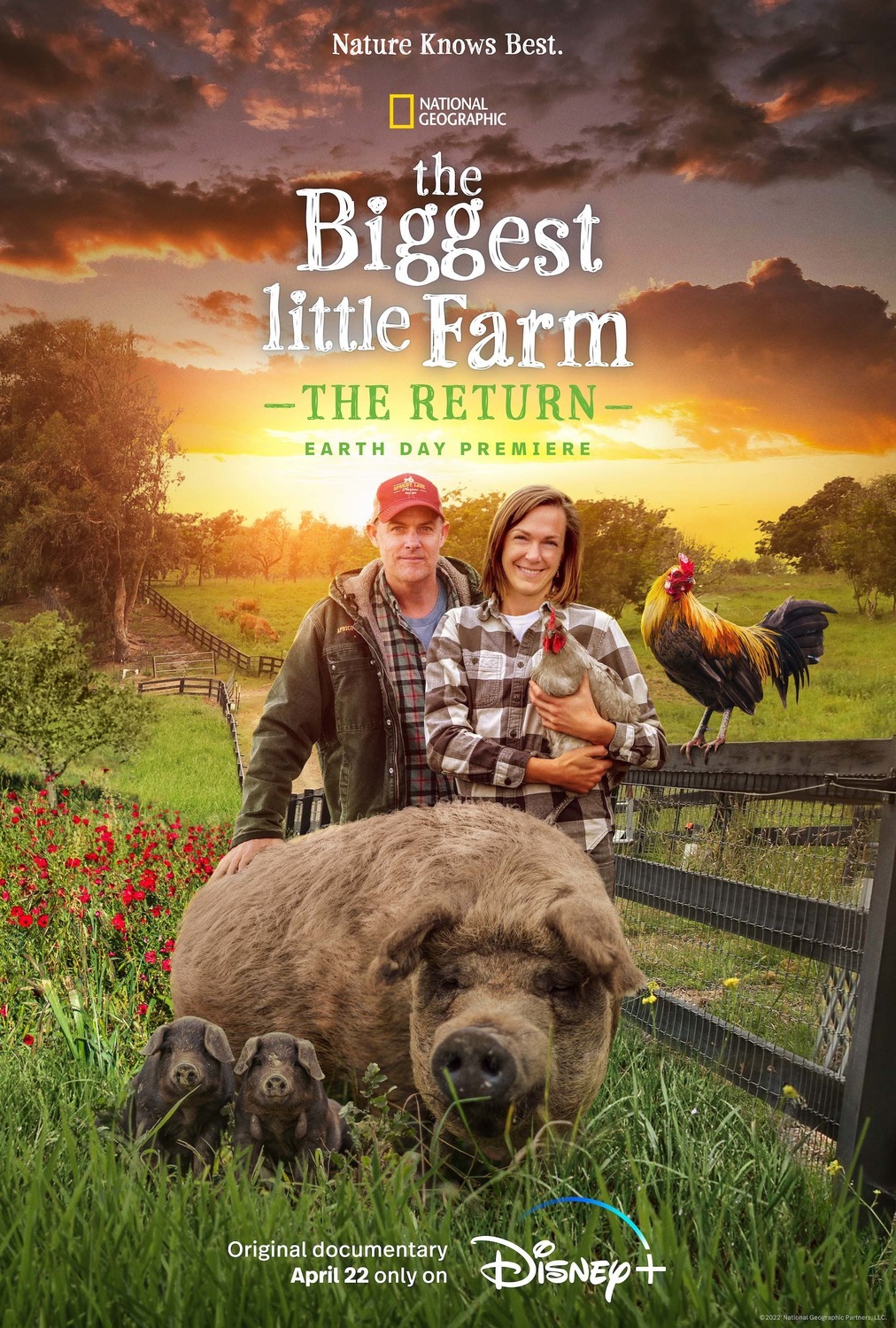 Extra Large Movie Poster Image for The Biggest Little Farm: The Return 