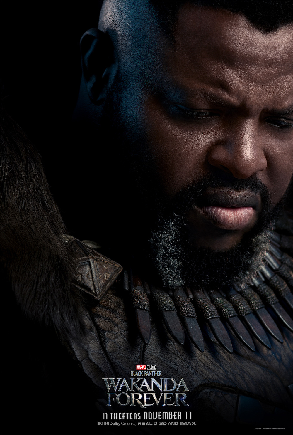 Extra Large Movie Poster Image for Black Panther: Wakanda Forever (#11 of 32)