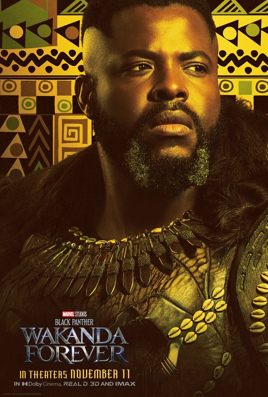 Extra Large Movie Poster Image for Black Panther: Wakanda Forever (#21 of 32)
