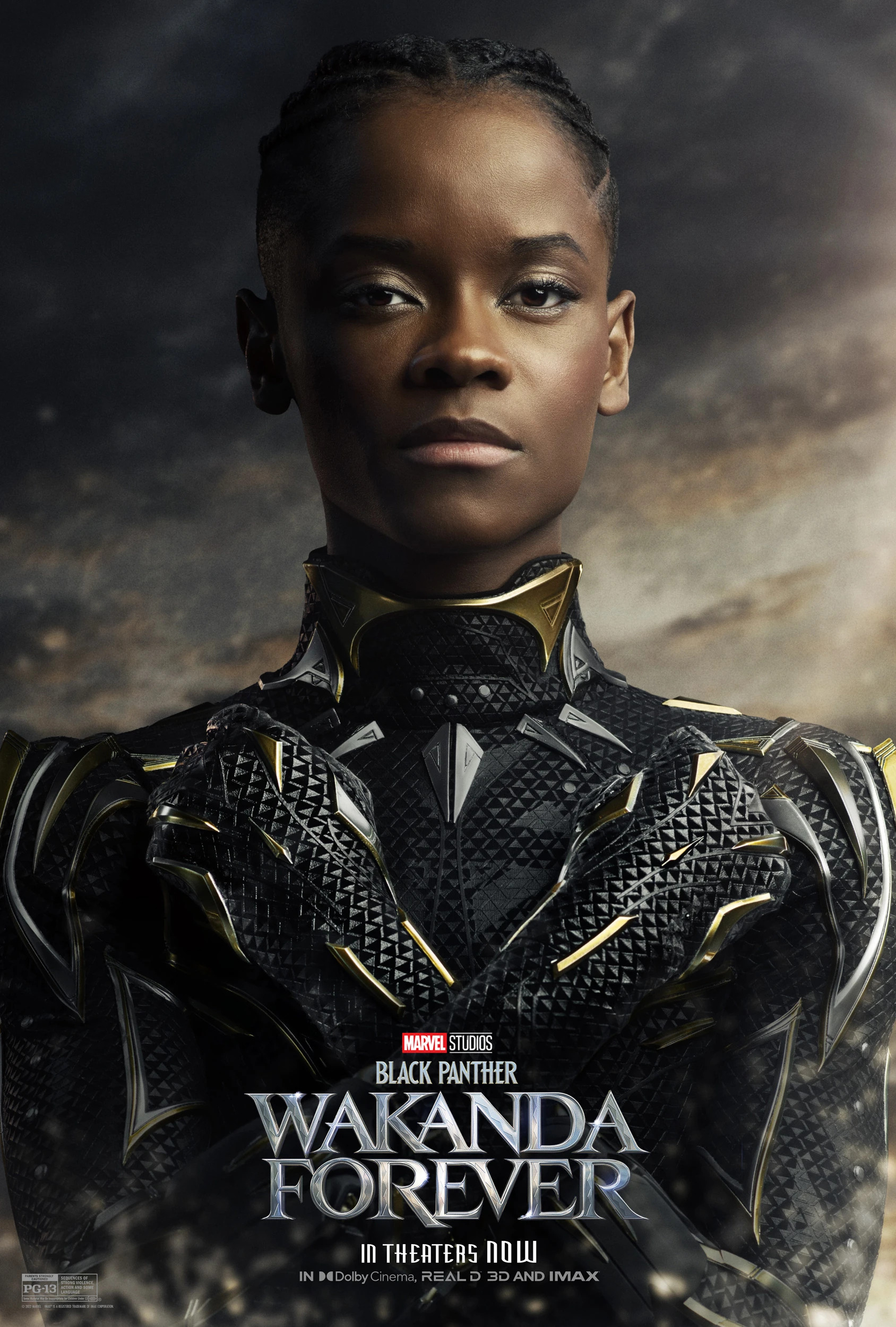 Mega Sized Movie Poster Image for Black Panther: Wakanda Forever (#29 of 32)