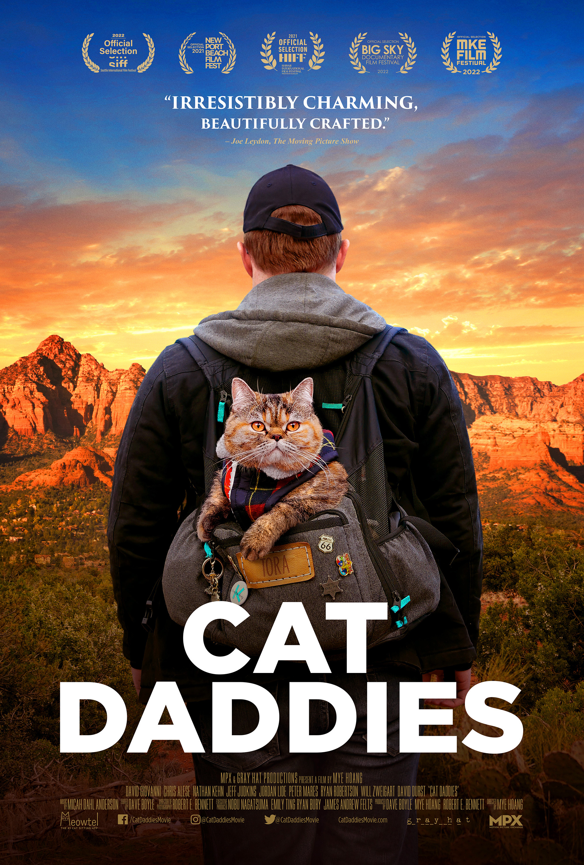 Mega Sized Movie Poster Image for Cat Daddies 