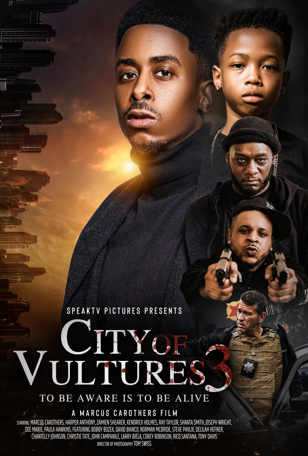 Extra Large Movie Poster Image for City of Vultures 3 