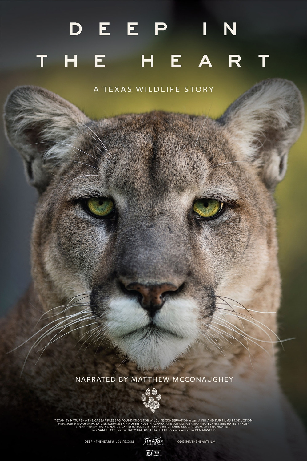 Extra Large Movie Poster Image for Deep in the Heart: A Texas Wildlife Story 