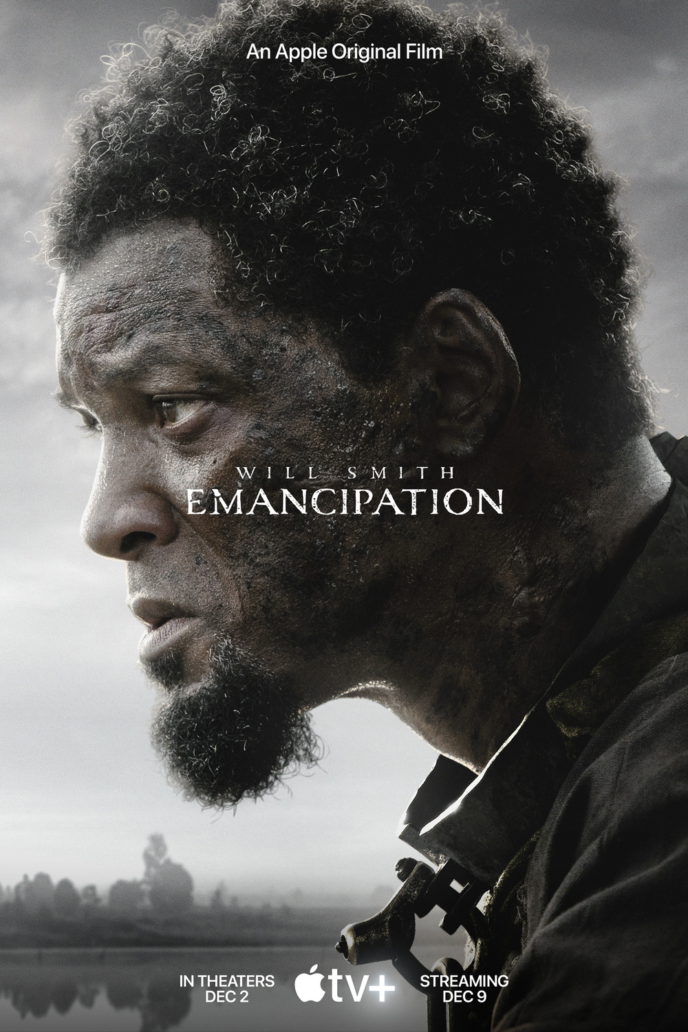 Extra Large Movie Poster Image for Emancipation 