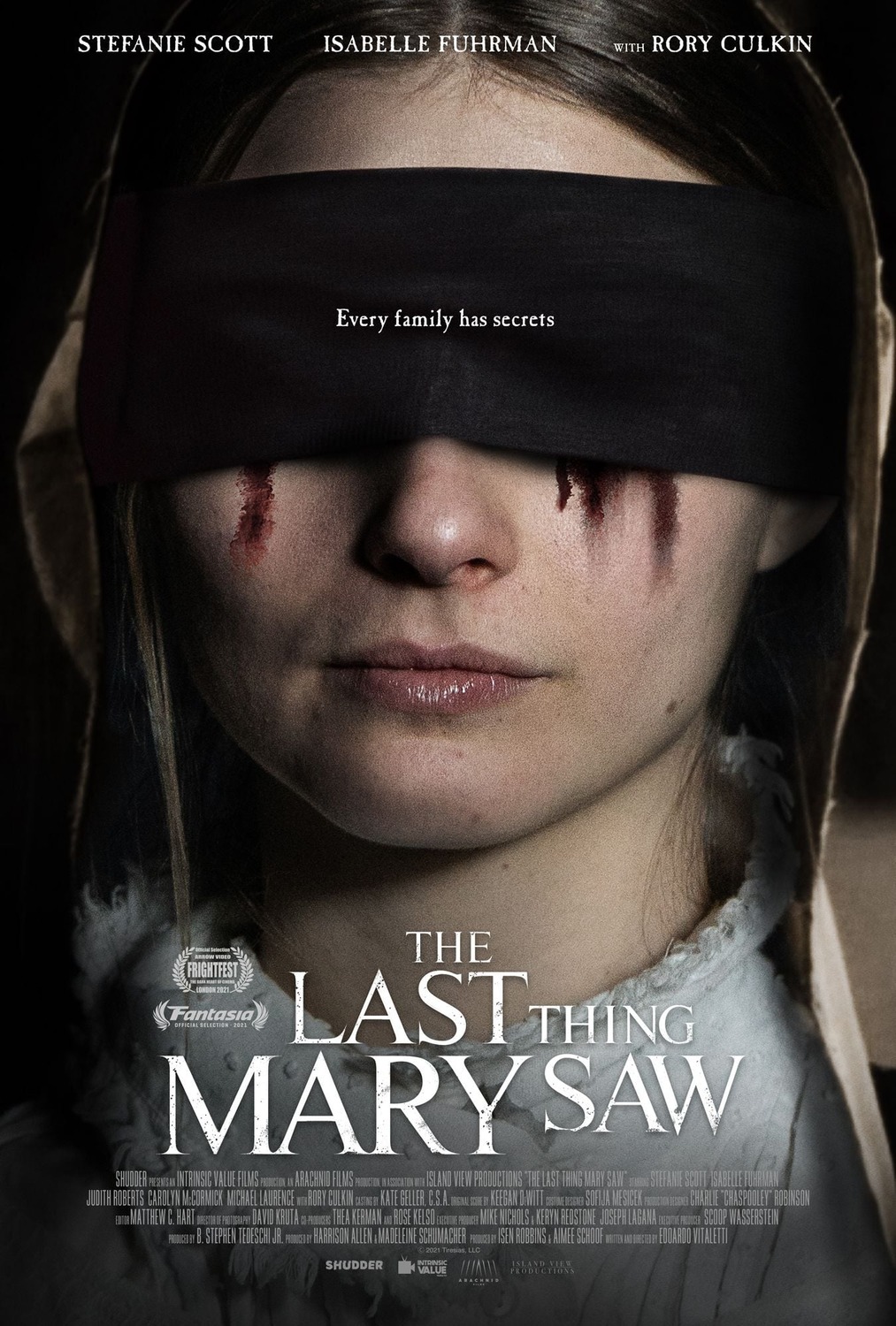 Extra Large Movie Poster Image for The Last Thing Mary Saw 